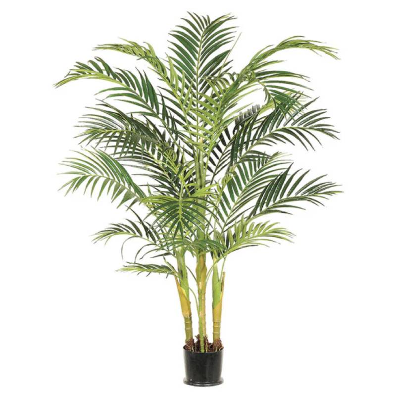 Allstate Floral 72" Tropical Areca Palm Tree with Plastic Pot - Green