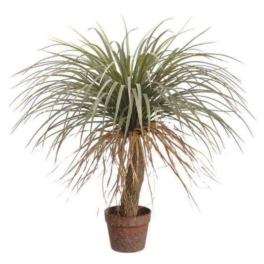 Allstate Floral 31" Desert Palm Tree with Plastic Pot - Green