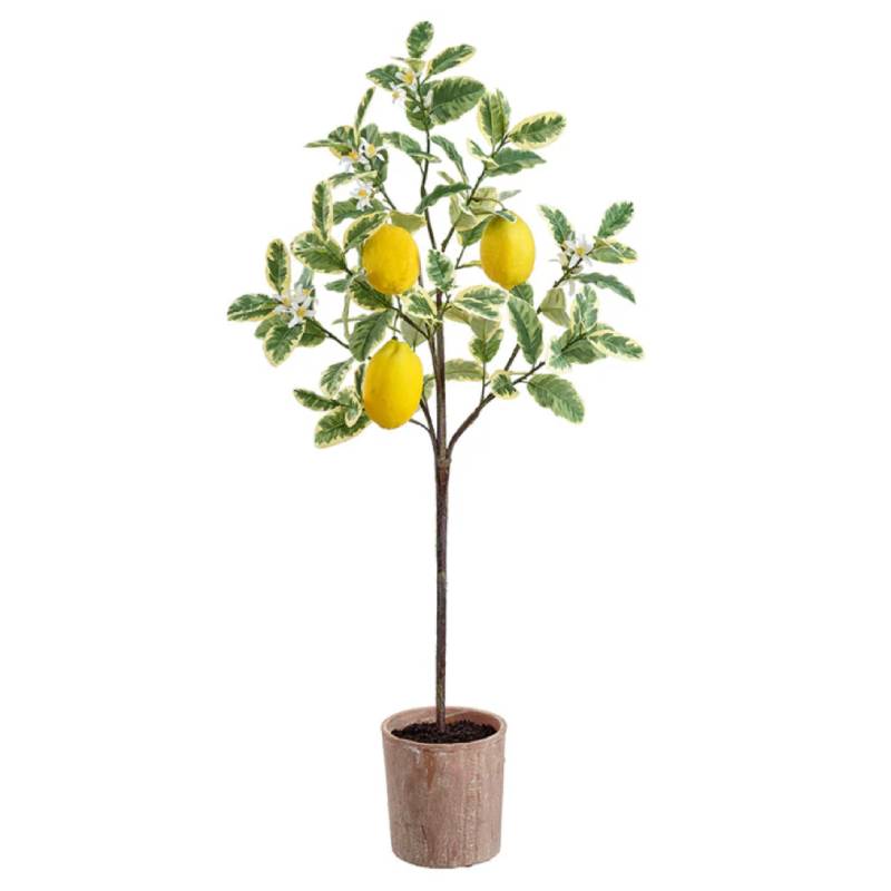 Allstate Floral 40" Flowering Lemon Tree with Clay Pot - Green