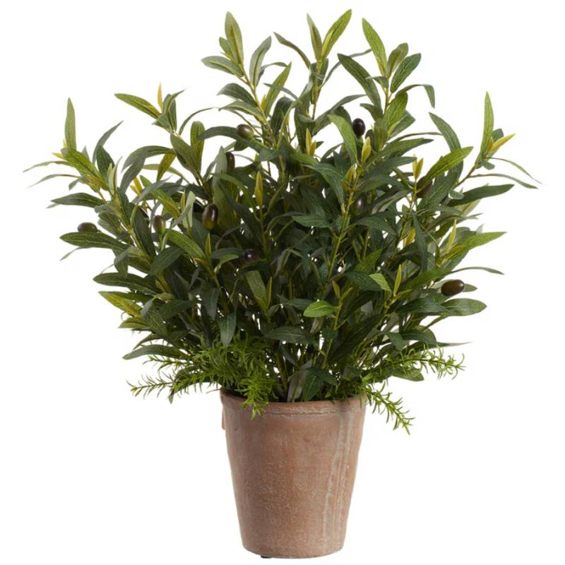 Allstate Floral 22" Mixed Olive and Rosemary Herb Plant with Cement Pot - Green