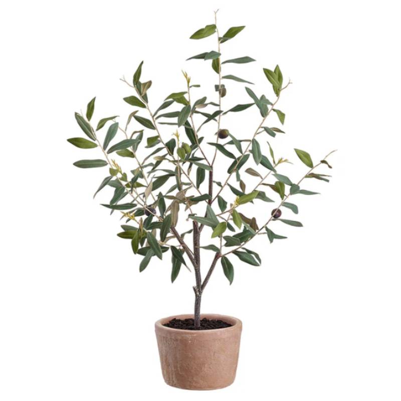 Allstate Floral Olive Tree With Clay Pot - Green
