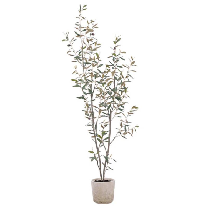 Allstate Floral 65" Olive Tree With Clay Pot - Green