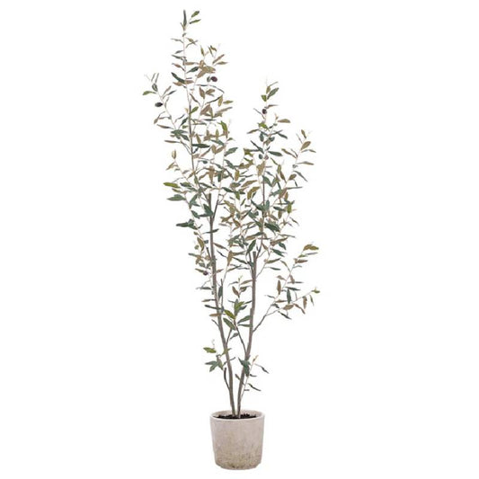 Allstate Floral 65" Olive Tree With Clay Pot - Green