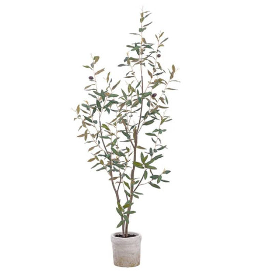 Allstate Floral Olive And Berry Tree With Clay Pot - Green