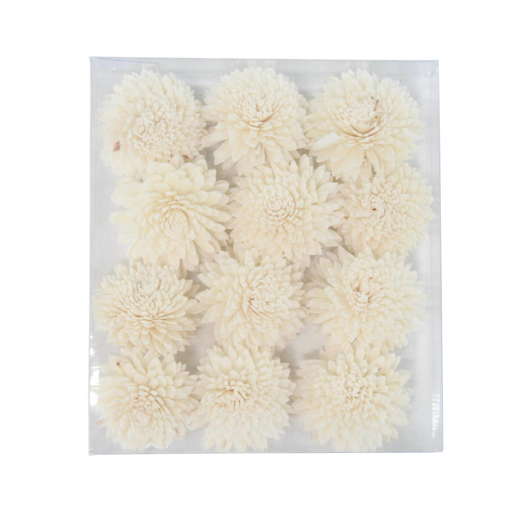 Decor Mache Dried Plant Handmade Decorative - Assortment