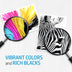 HP 67 5843494 Standard Capacity Ink Cartridge - Black - Curacao