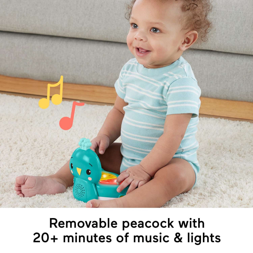 Fisher-Price Baby Bouncer Activity Center with Music and Lights - Blooming Fun Jumperoo