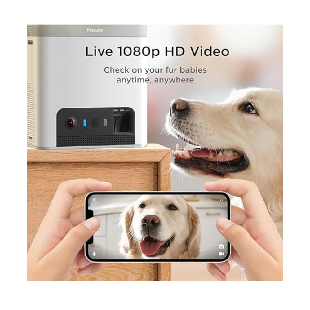 Cámara inteligente para mascotas Petcube BITES2LITE HD con servicio de atención al cliente 24 horas al día, 7 días a la semana, color blanco y negro