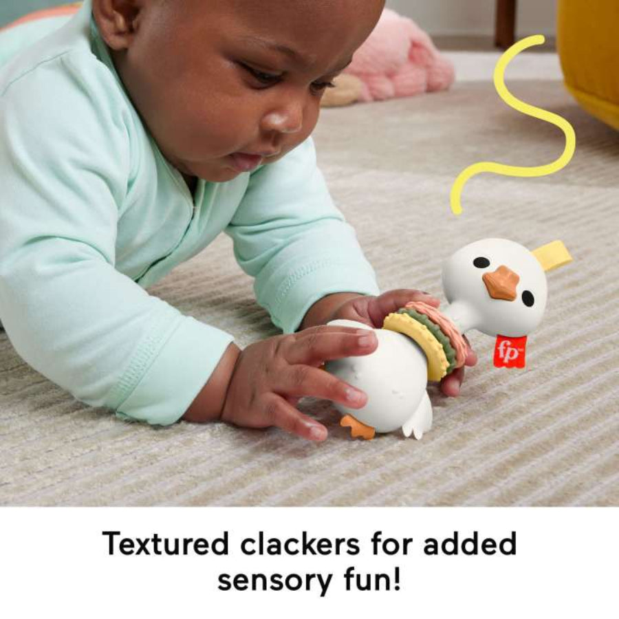 Fisher-Price Clack & Quack Goose Baby Toy with Fine Motor Activity - Multicolor