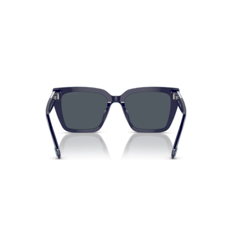 Swarovski Women's SK6013101887 Square Solid Color Sunglasses