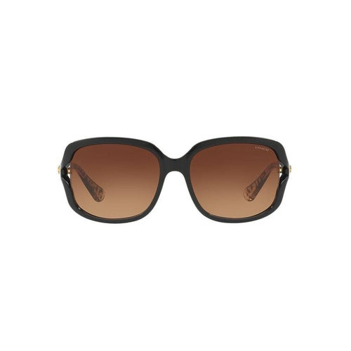 Coach HC8169 Sunglasses - Black-Wild Beast/Brown Gradient - Curacao