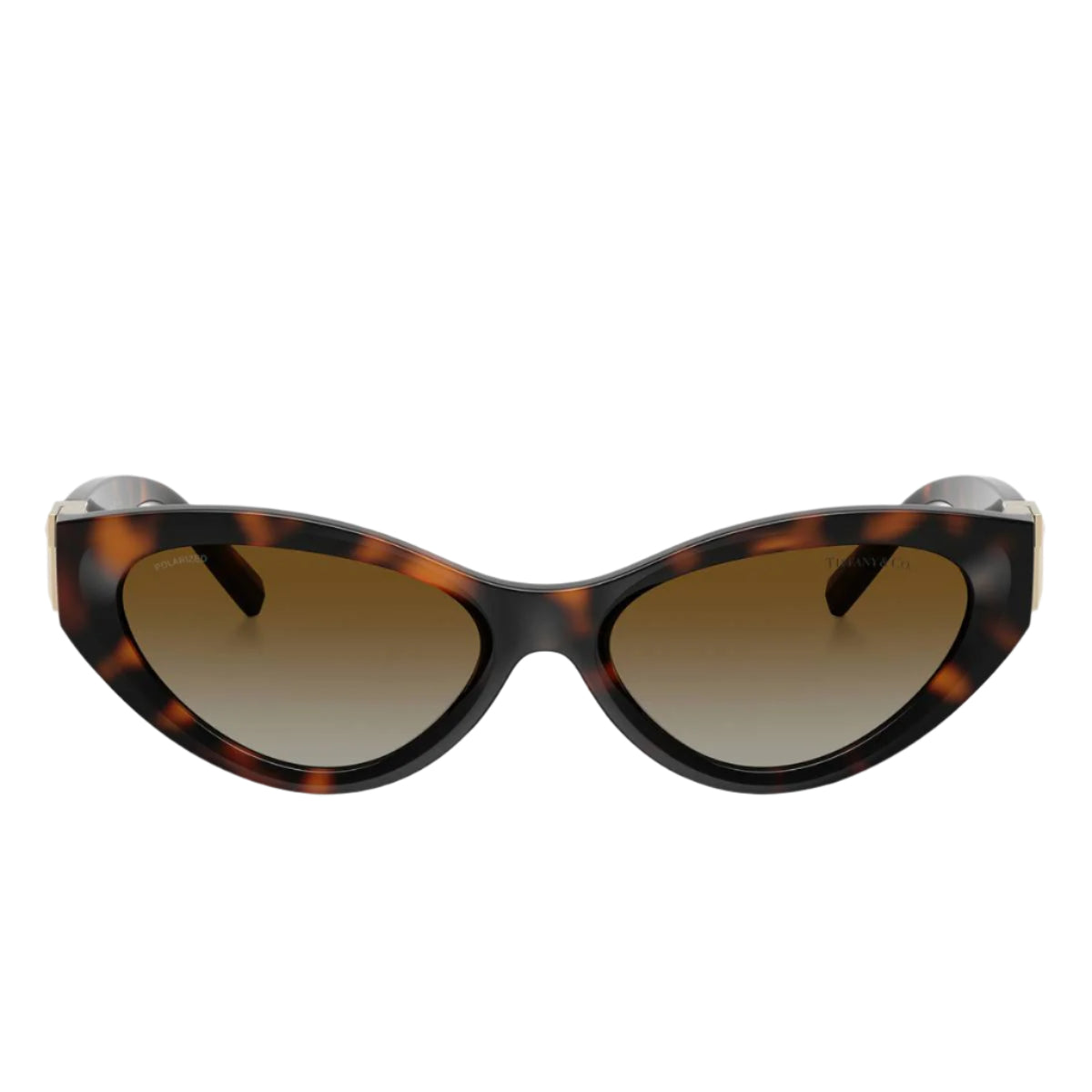 Tiffany & Co. TF4225U8015T Woman's Oval Gradient Sunglasses