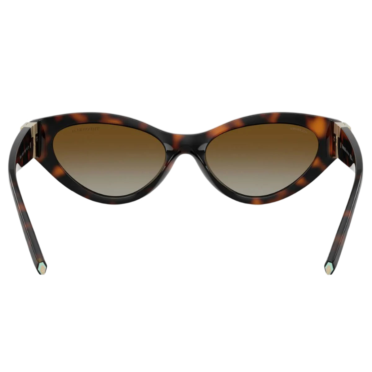 Tiffany & Co. TF4225U8015T Woman's Oval Gradient Sunglasses