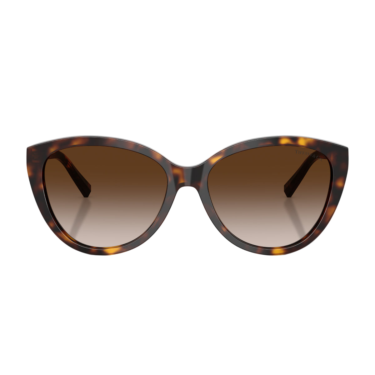 Tiffany & Co. TF4251 Women's Cat Eye Gradient Sunglasses