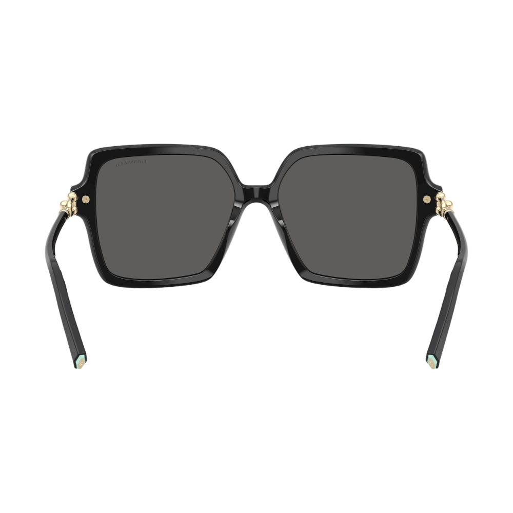 Tiffany & Co. TF4260U Women's Square Solid Color Sunglasses