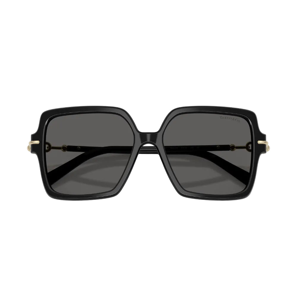 Tiffany & Co. TF4260U Women's Square Solid Color Sunglasses
