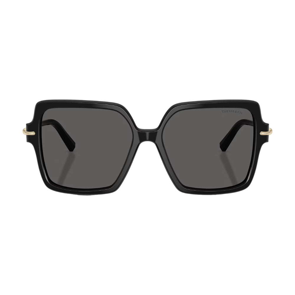 Tiffany & Co. TF4260U Women's Square Solid Color Sunglasses