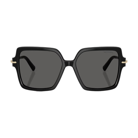 Tiffany & Co. TF4260U Women's Square Solid Color Sunglasses