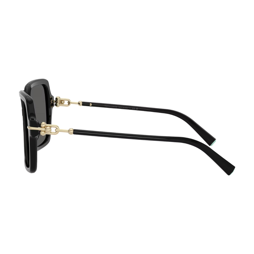 Tiffany & Co. TF4260U Women's Square Solid Color Sunglasses