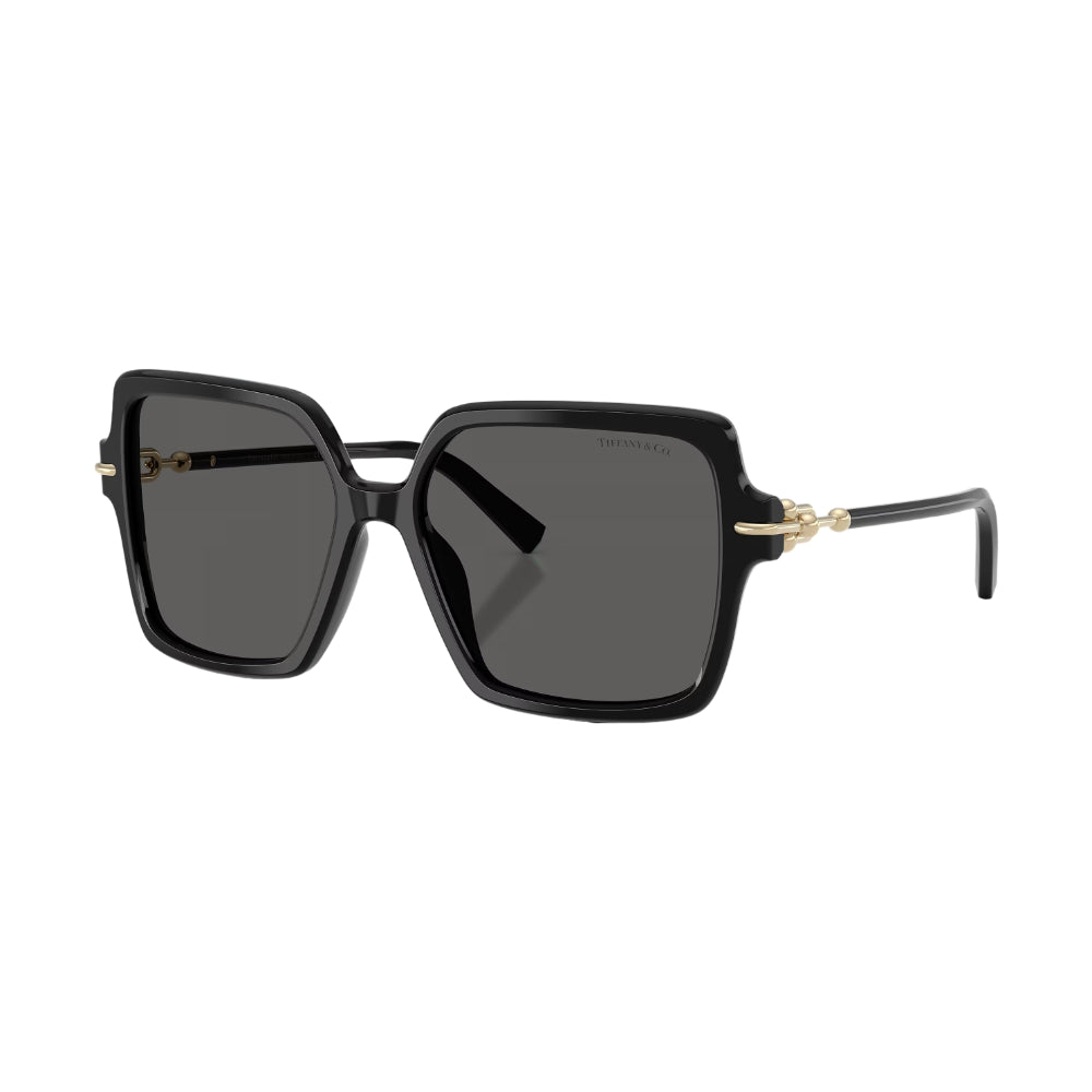 Tiffany & Co. TF4260U Women's Square Solid Color Sunglasses