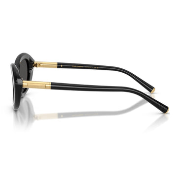 Dolce & Gabbana DG4519 Women's Oval Solid Color Sunglasses