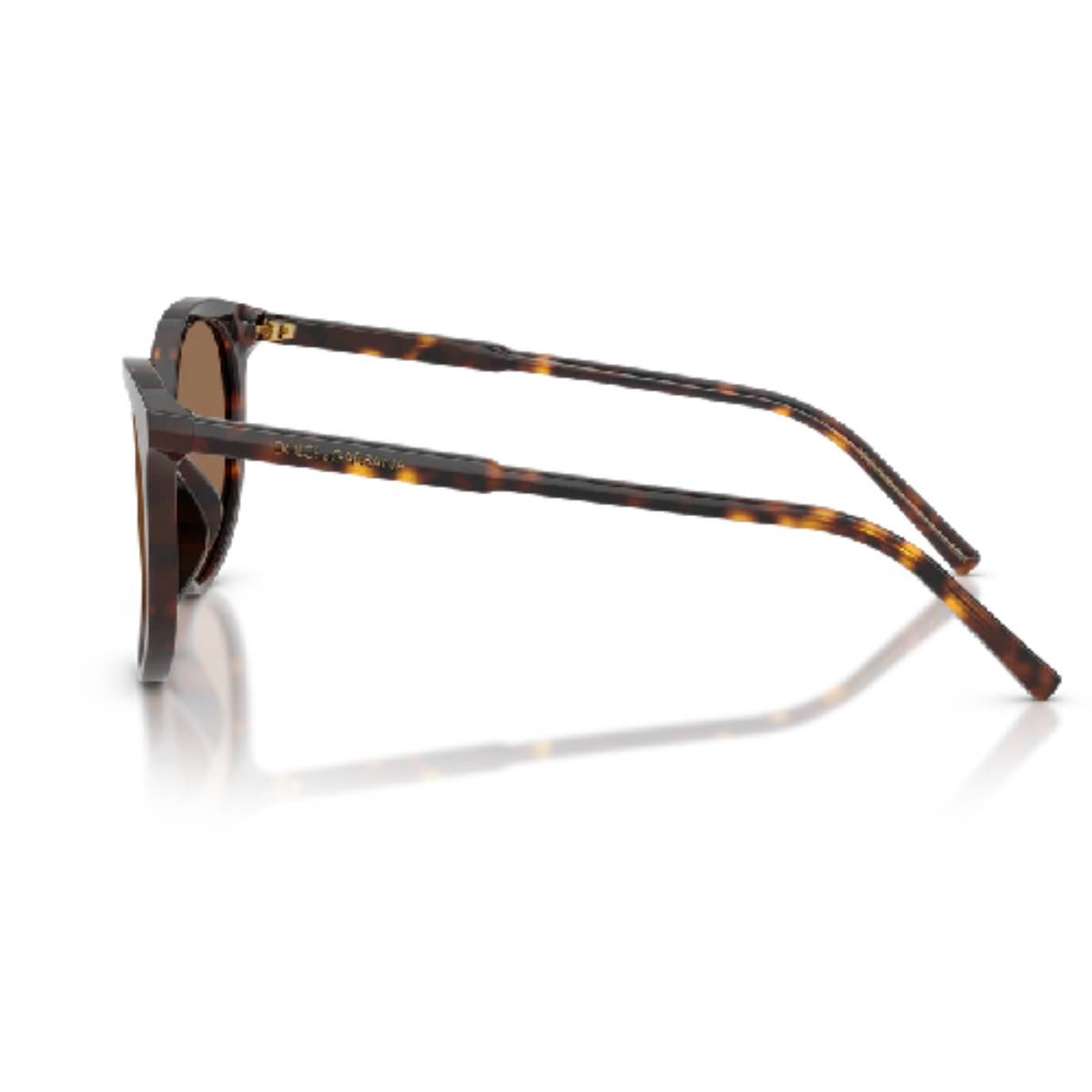 Dolce & Gabbana DG4540 Women's Phantos Solid Color Sunglasses