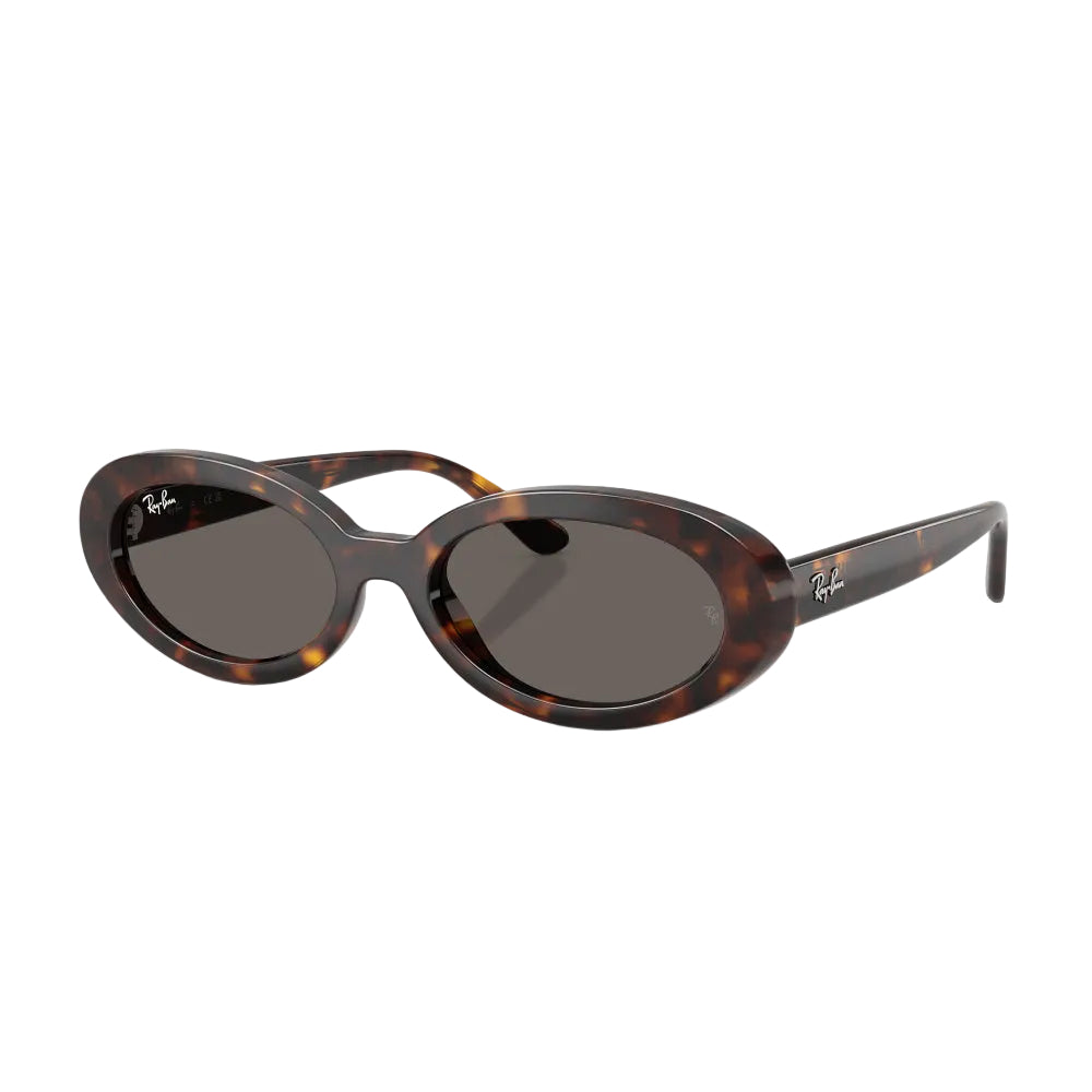 Ray-Ban RB2223 Woman's Oval Solid Color Sunglasses