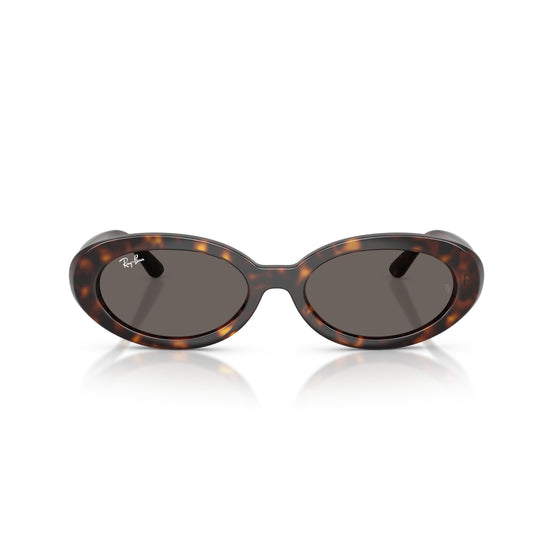 Ray-Ban RB2223 Woman's Oval Solid Color Sunglasses