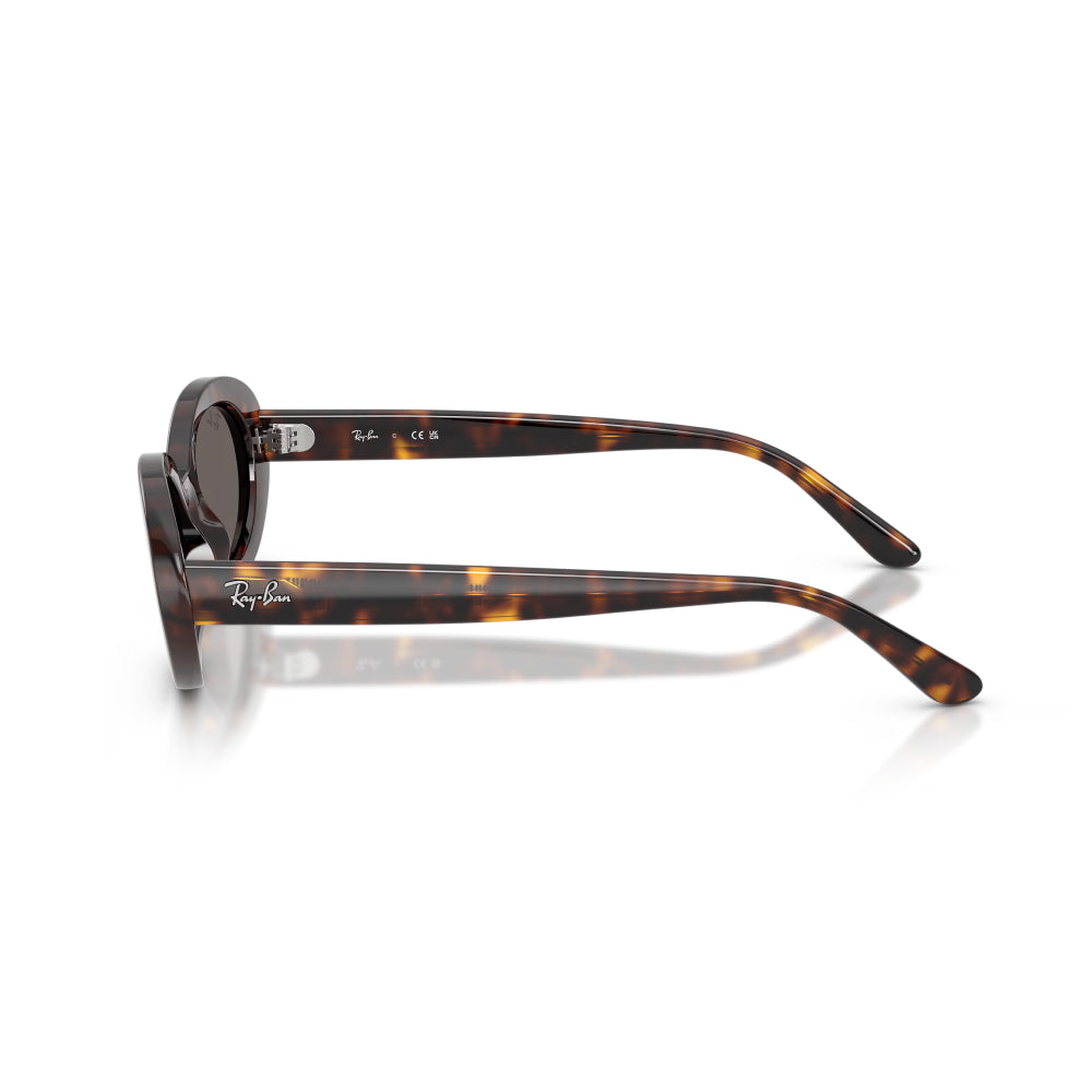 Ray-Ban RB2223 Woman's Oval Solid Color Sunglasses