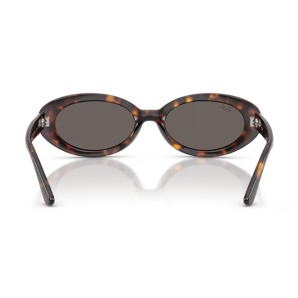 Ray-Ban RB2223 Woman's Oval Solid Color Sunglasses