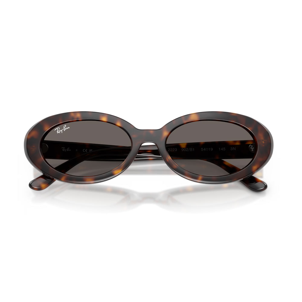 Ray-Ban RB2223 Woman's Oval Solid Color Sunglasses