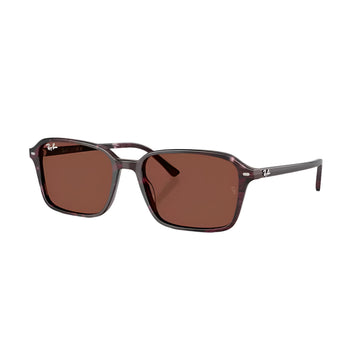 Ray-Ban Raimond RB2231 Unisex Square Solid Color Sunglasses