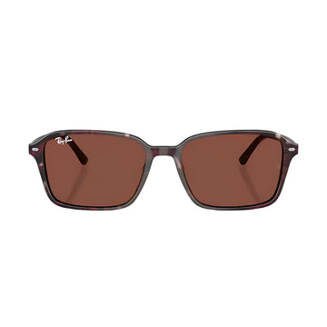 Ray-Ban Raimond RB2231 Unisex Square Solid Color Sunglasses