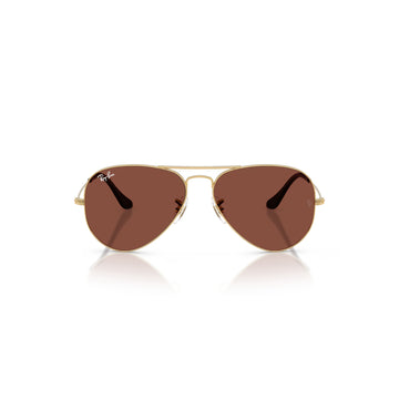 Ray-Ban RB3025 Unisex Pilot Solid Color Sunglasses