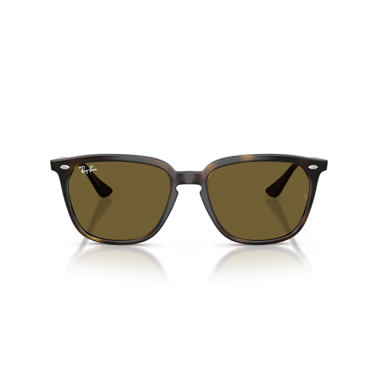 Ray-Ban RB4362 Men's Square Solid Color Sunglasses