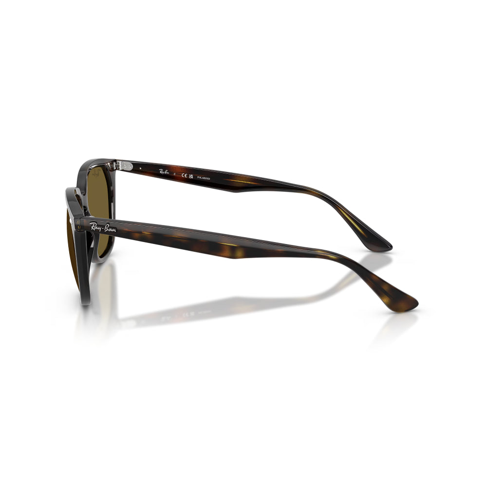 Ray-Ban RB4362 Men's Square Solid Color Sunglasses