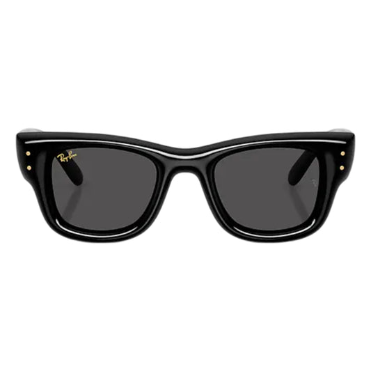 Ray-Ban Wayfarer Puffer Men's Square Solid Color Sunglasses