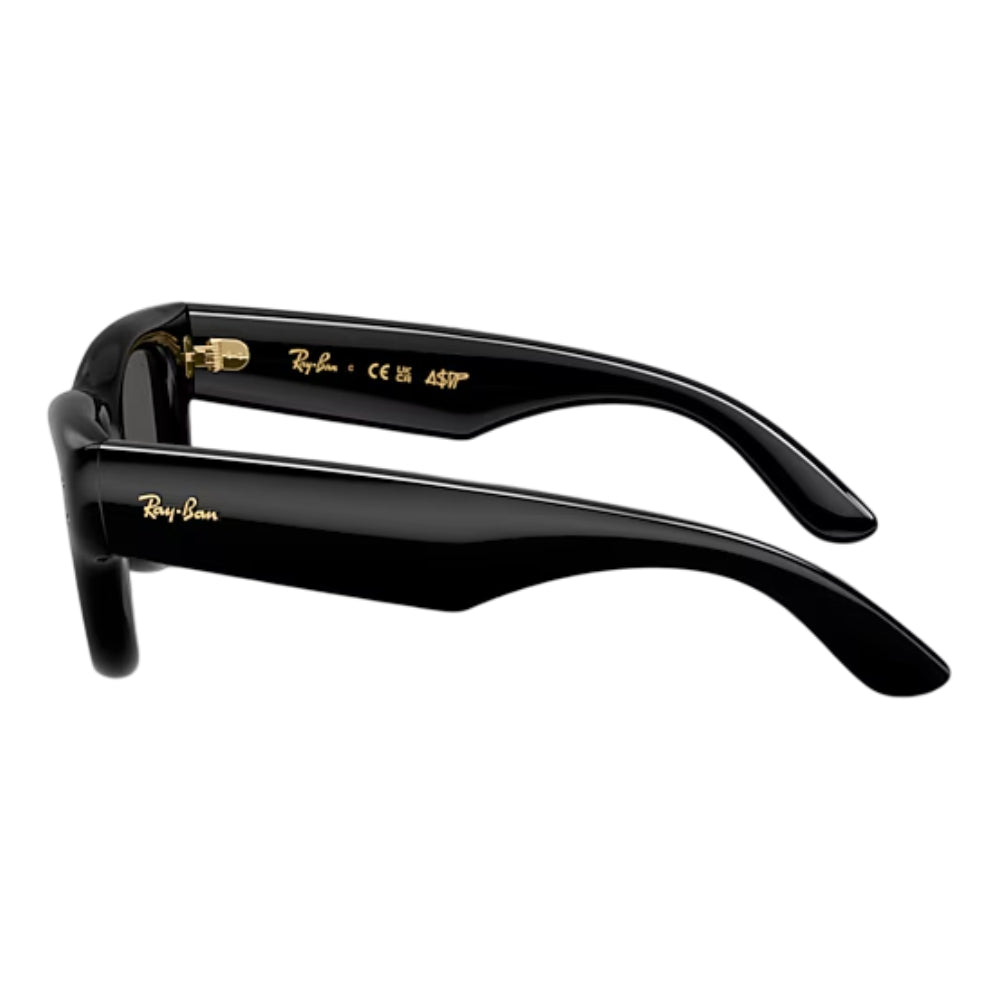 Ray-Ban Wayfarer Puffer Men's Square Solid Color Sunglasses