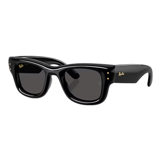 Ray-Ban Wayfarer Puffer Men's Square Solid Color Sunglasses
