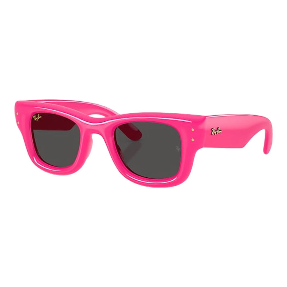 Ray-Ban Wayfarer Puffer Men's Square Solid Color Sunglasses