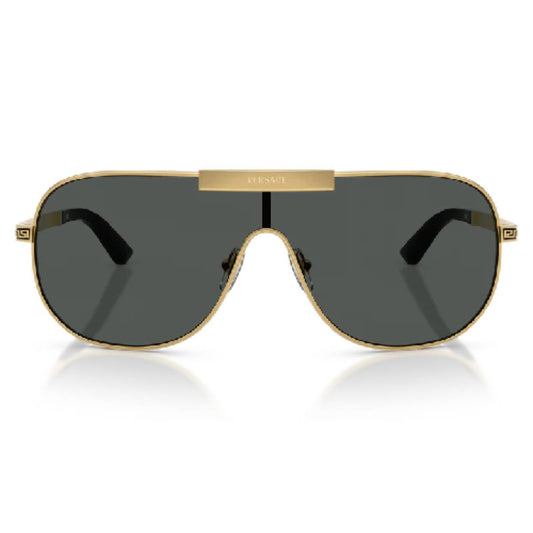 Versace VE2293 Men's Geometric Solid Color Sunglasses