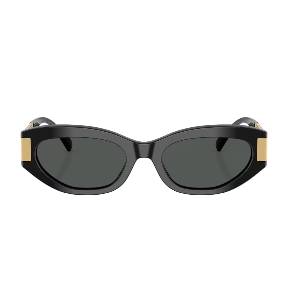 Versace VE4501 Women's Cat Eye Solid Color Sunglasses