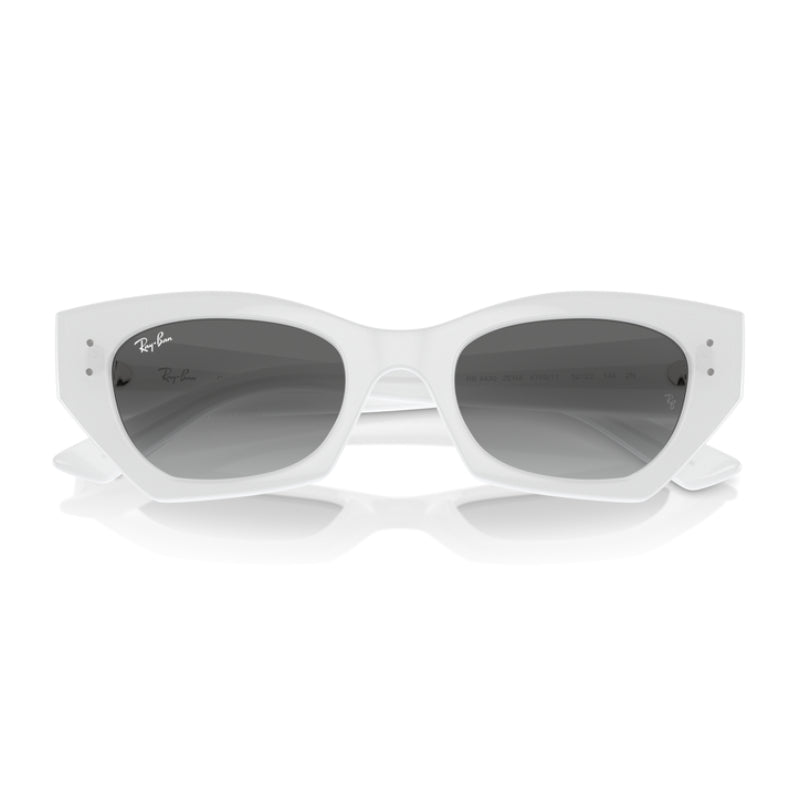 Ray-Ban Zena Bio-Based RB4430526759 Unisex Irregular Solid Color Sunglasses