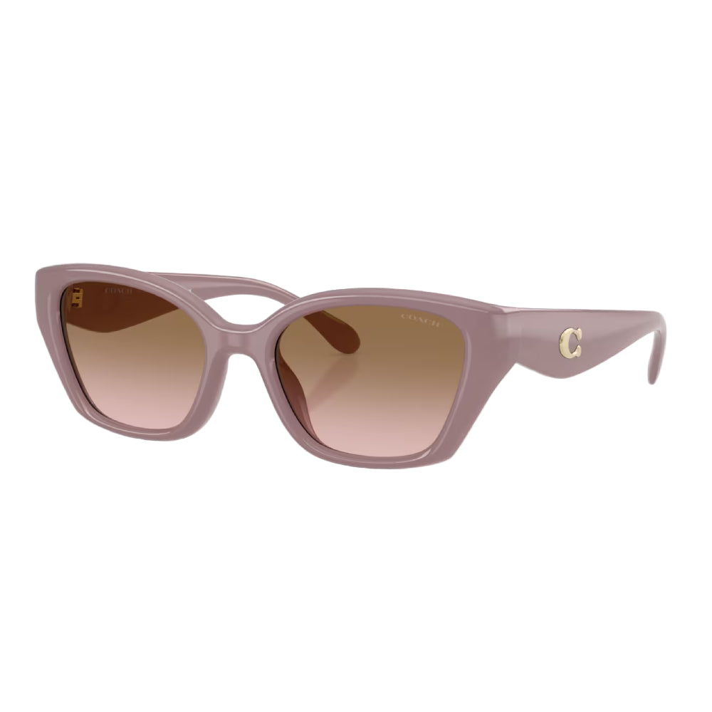 Coach HC8434U Women's Cat-Eye Gradient Sunglasses– Curacao