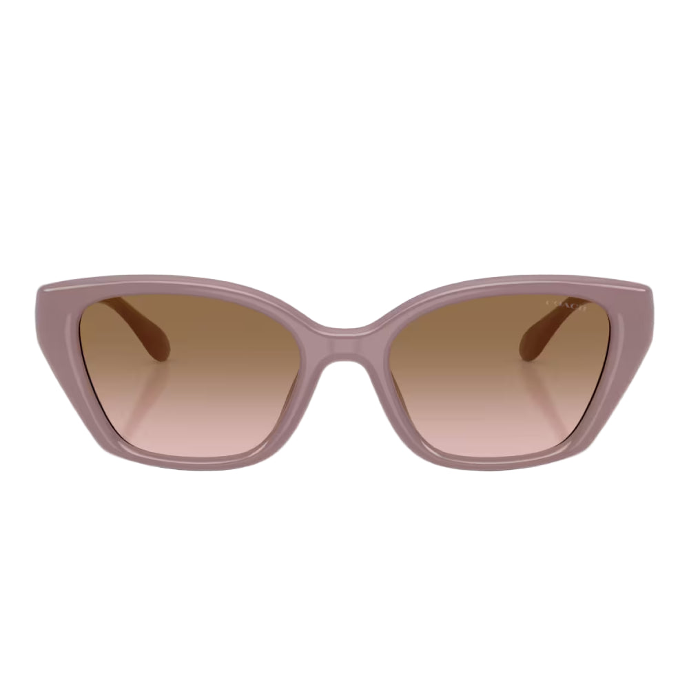 Coach HC8434U Women's Cat-Eye Gradient Sunglasses