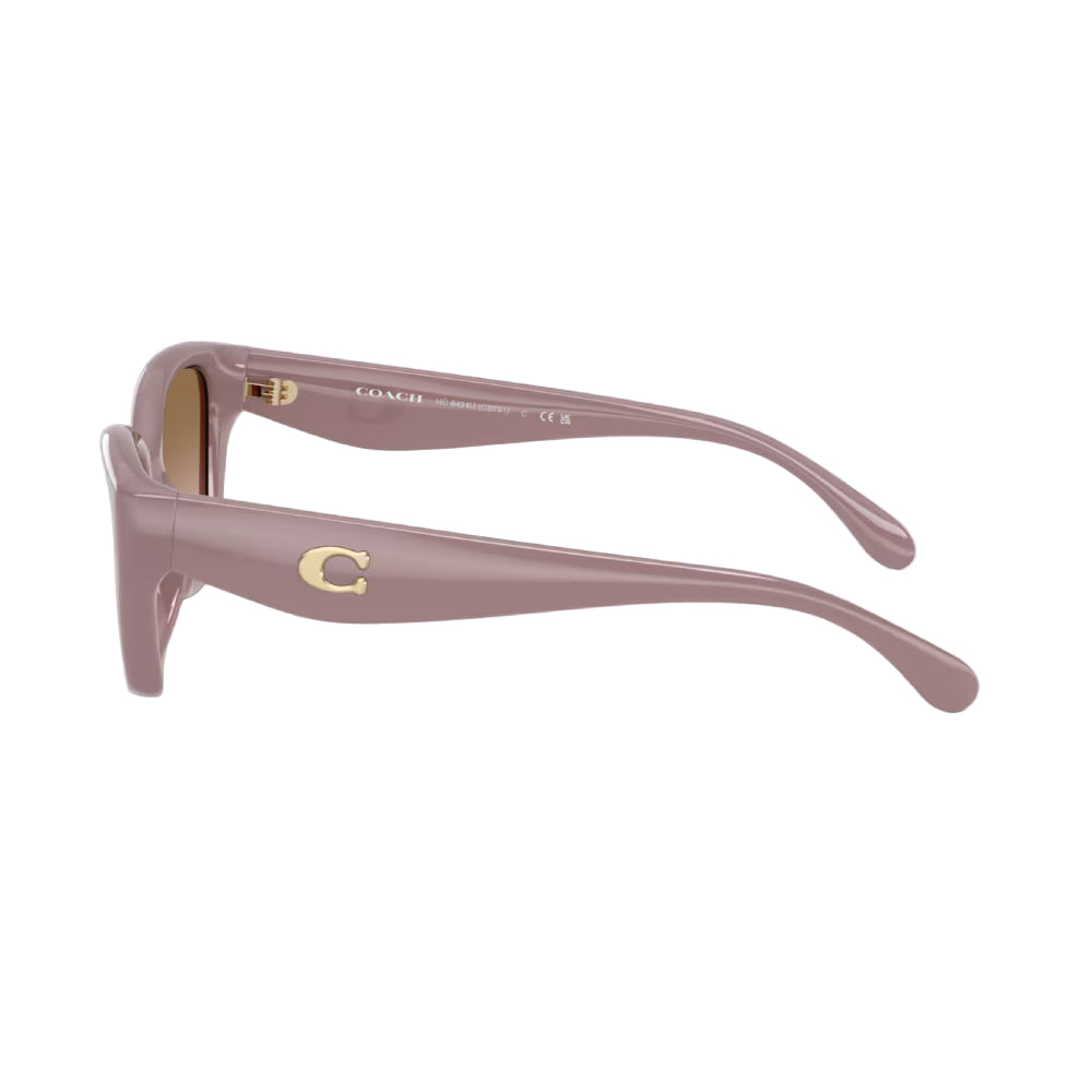 Coach HC8434U Women's Cat-Eye Gradient Sunglasses