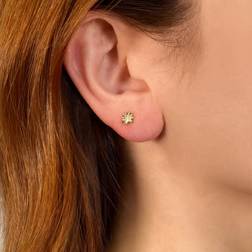 Shy Creation Kate 0.04 ct. Diamond Flower Stude Earrings in 14K Yellow Gold