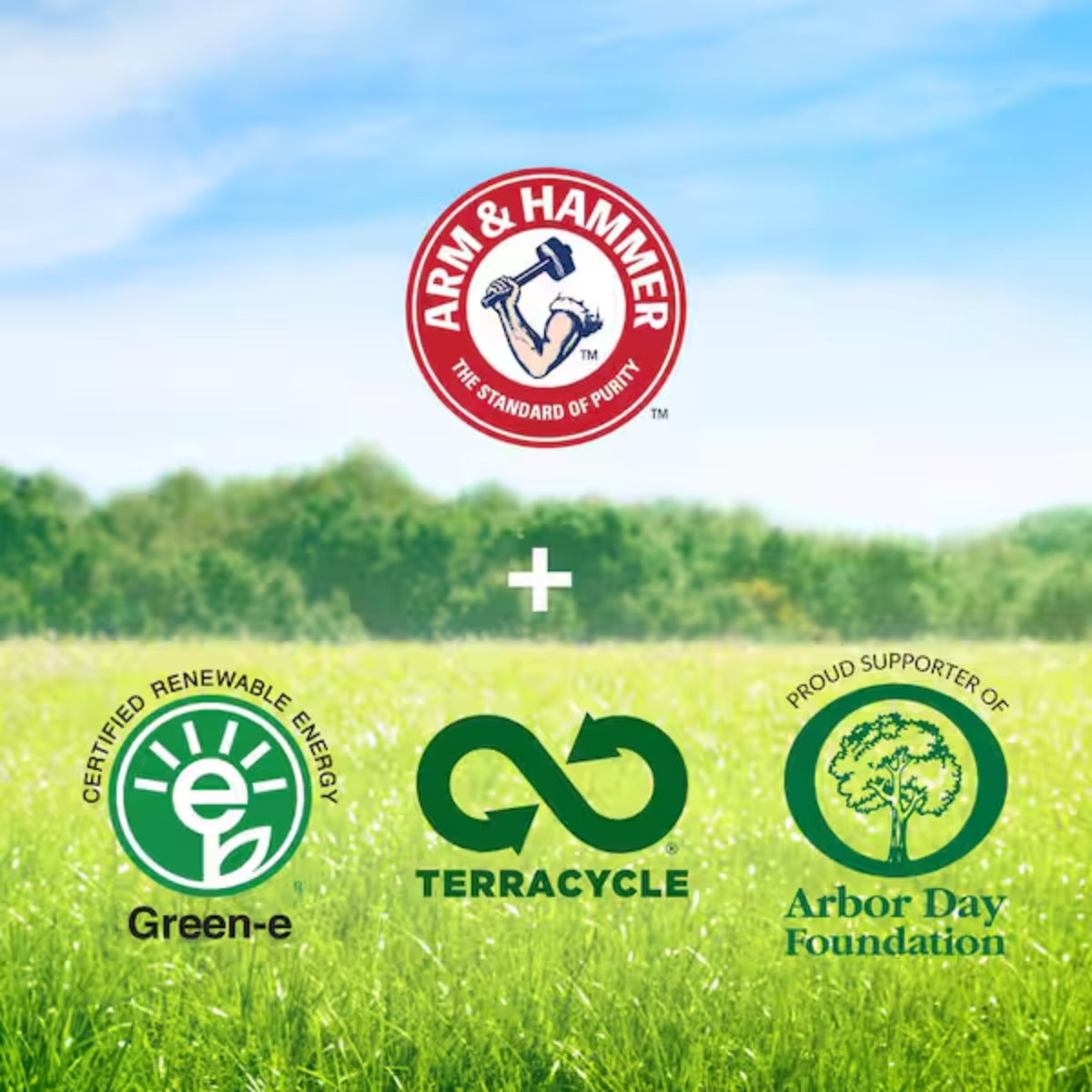 Arm & Hammer 10.8 lbs Pure Baking Soda Resealable Bag