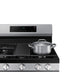 Samsung 6 CF SS Smart Gas Range STM CLN - Curacao