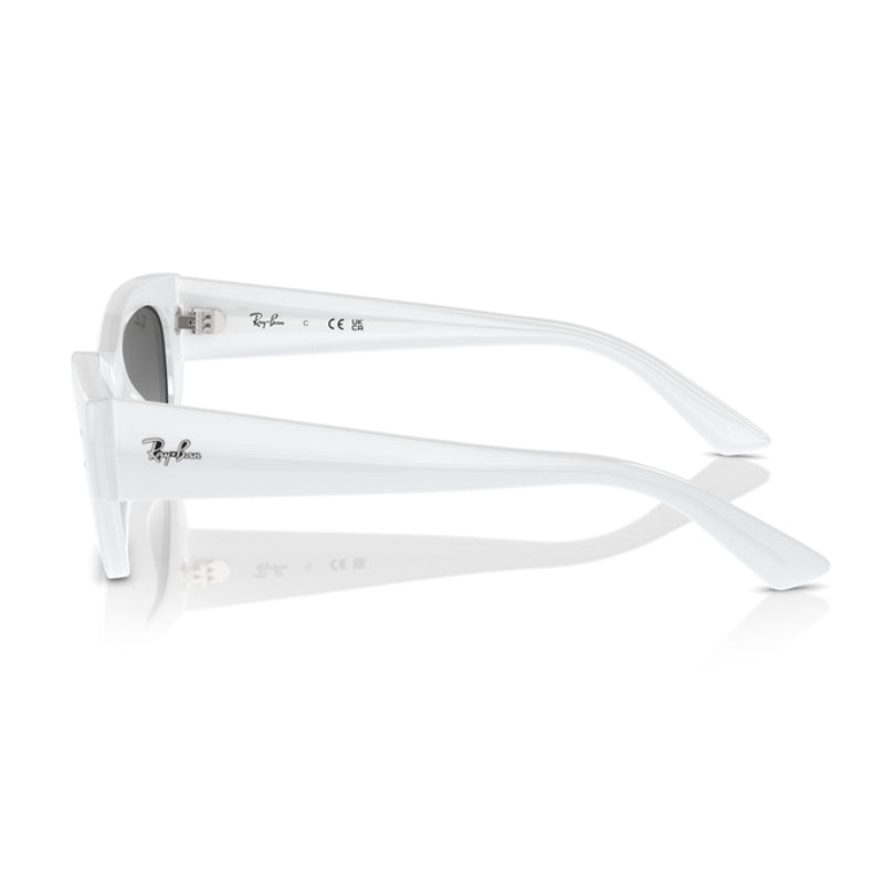 Ray-Ban Zena Bio-Based RB4430526759 Unisex Irregular Solid Color Sunglasses